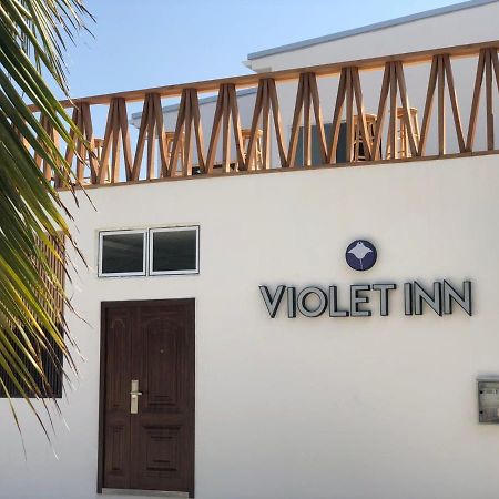 Violet Inn Hotel Dharavandhoo Eksteriør billede